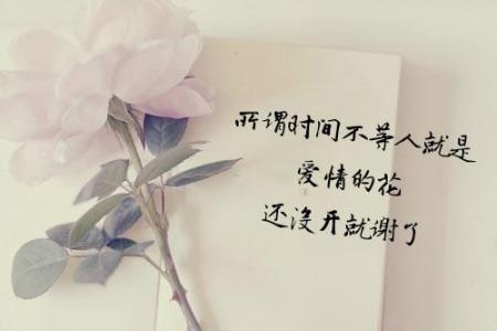 以下是15条被爱打断的句子