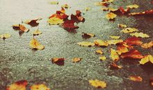 外面又下雨心烦的句子