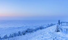 调侃热得心烦意乱的句子