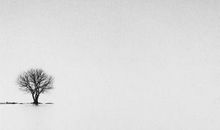 表达对爱失望的句子