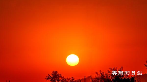 轻轻地放在你的床上