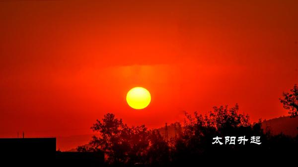 我拿着清晨的阳光