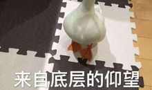 2020最新现实到扎心的句子 让你认清现实的说说