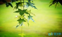 世上最感人的一句话