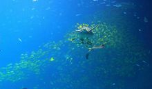 幽默搞笑调侃的句子