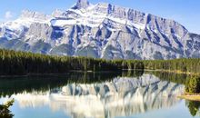 有关家的经典句子集锦