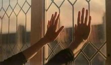 对朋友失望看透的句子书法