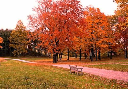 让我们看一下编辑人员编写的关于秋季快乐之旅的句子