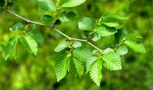 100句简短的搞笑语句