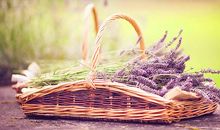 中国经典的广告语大全集