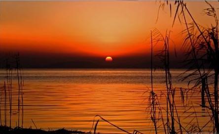    表达生活情感的句子  1