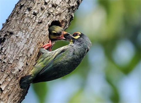 我想在我的心里变瘦