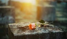 关于母爱的优美句子