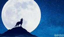 关于月亮的经典语录