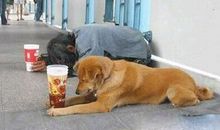 搞笑个性句子，搞笑个性说说