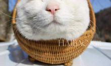 讨美女开心的句子