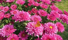 情人节搞笑整人短信