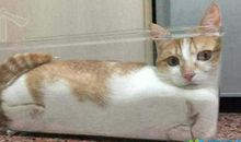 个性语句摘抄20条