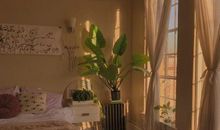 关于晴天的优美句子 好天气好心情的唯美句子