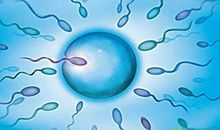 精美的摘抄语句