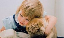 亲情温馨的句子大全