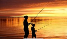 珍惜亲情的句子简短