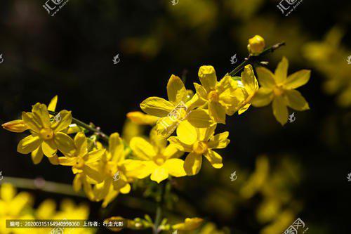 我希望你喜欢它