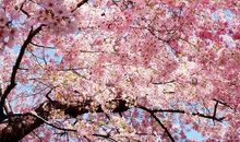 关于想你的句子，我很想你的句子