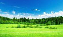 心烦到想哭的句子