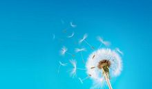 表达高兴开心的句子