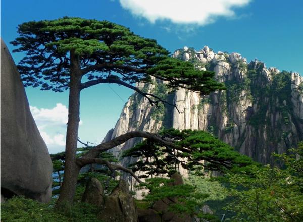 以下是为大家准备的口号