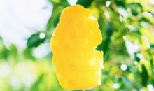 快手上热门的经典句子