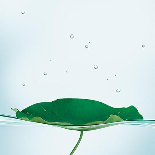 希望每个人都喜欢它