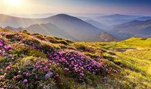 心烦啥都不想说的句子