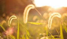 哲思感悟关于亲情句子