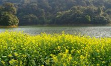 人生感悟搞笑句子精选