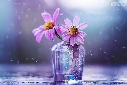 我希望你做一个美梦