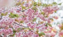 2019优美的留言句子 给别人空间留言的唯美语录