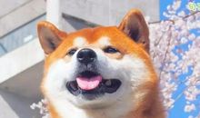 吐槽天气热的搞笑句子 调侃天气热的说说句子