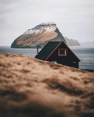 缺少一段时间的掌纹