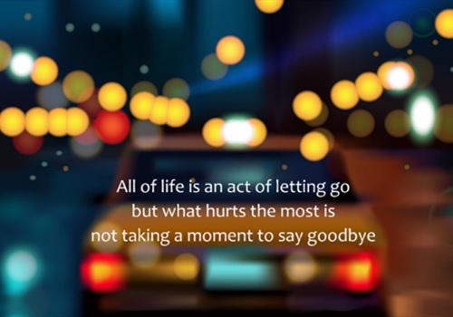 喜欢阅读和喜欢阅读的人常常会被看到一些好词而震惊