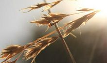 逗女生开心的句子