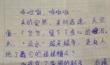 描写雨的片段150字