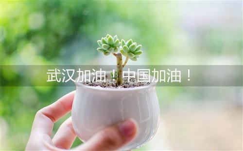 向与第一线作战的所有医务人员和工作人员致敬