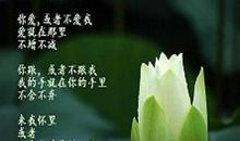 仓央嘉措诗集经典句子凡尘最美的莲花