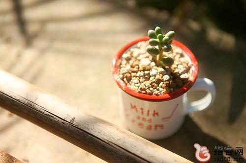 1您的健康状况良好吗