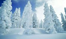 适合冬天发朋友圈的可爱文案