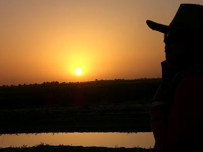 但月亮却会发光