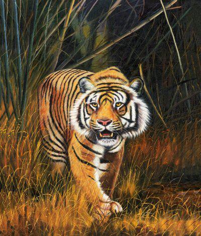 老虎的霸气标语是什么