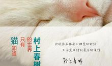 村上春树猫的经典名言